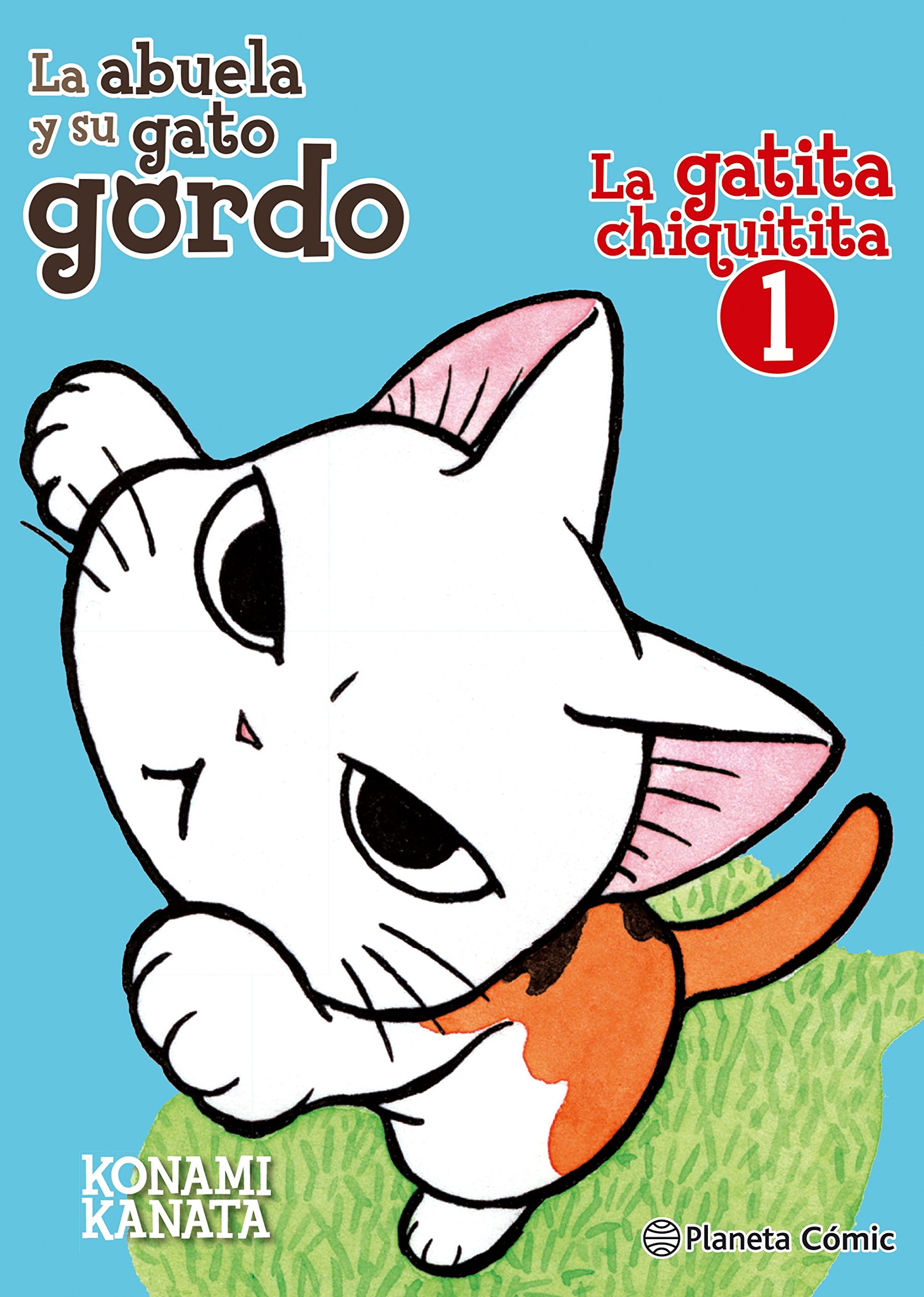 La abuela y su gato gordo: La gatita chiquitita