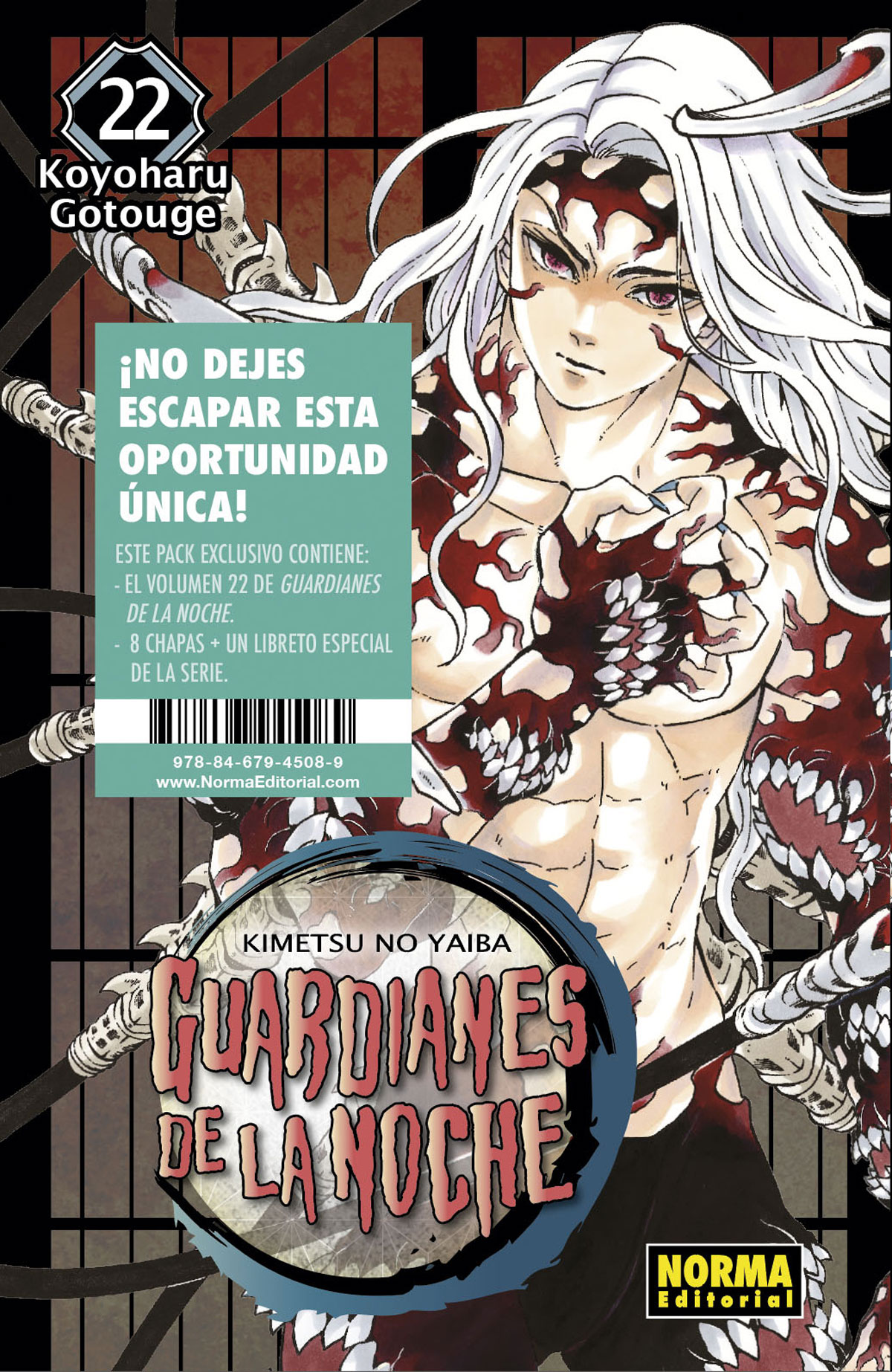 Guardianes de la Noche (Kimetsu no Yaiba) (Especial)