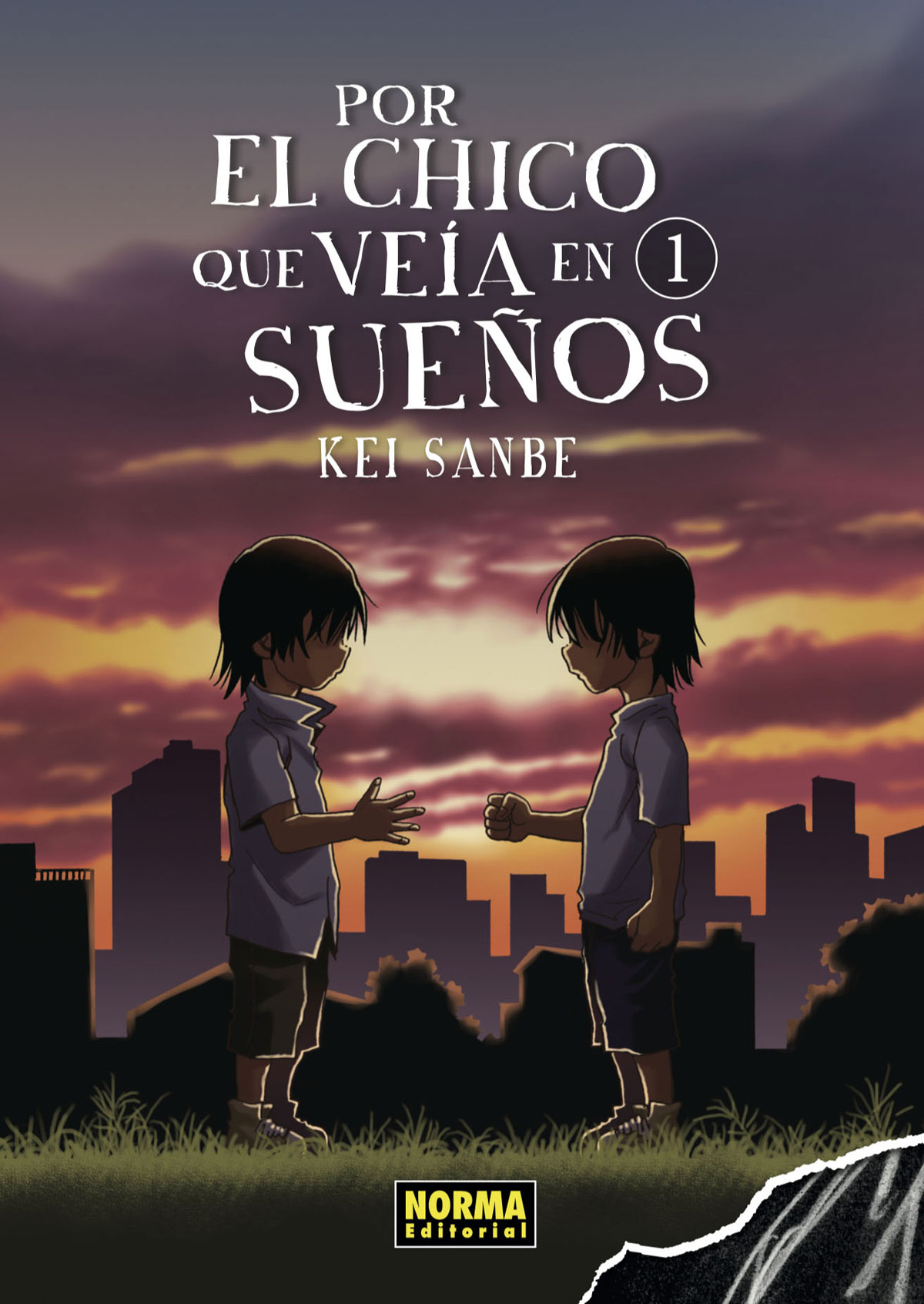 Por el chico que veía en sueños