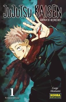 Jujutsu Kaisen (Guerra de Hechiceros)