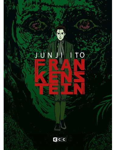 Frankenstein (Edición Flexibook)