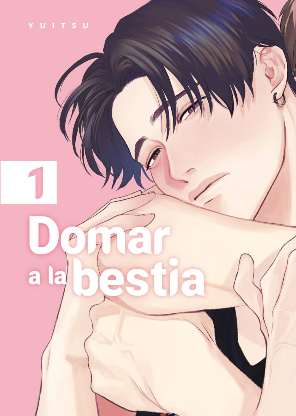 Domar a la bestia