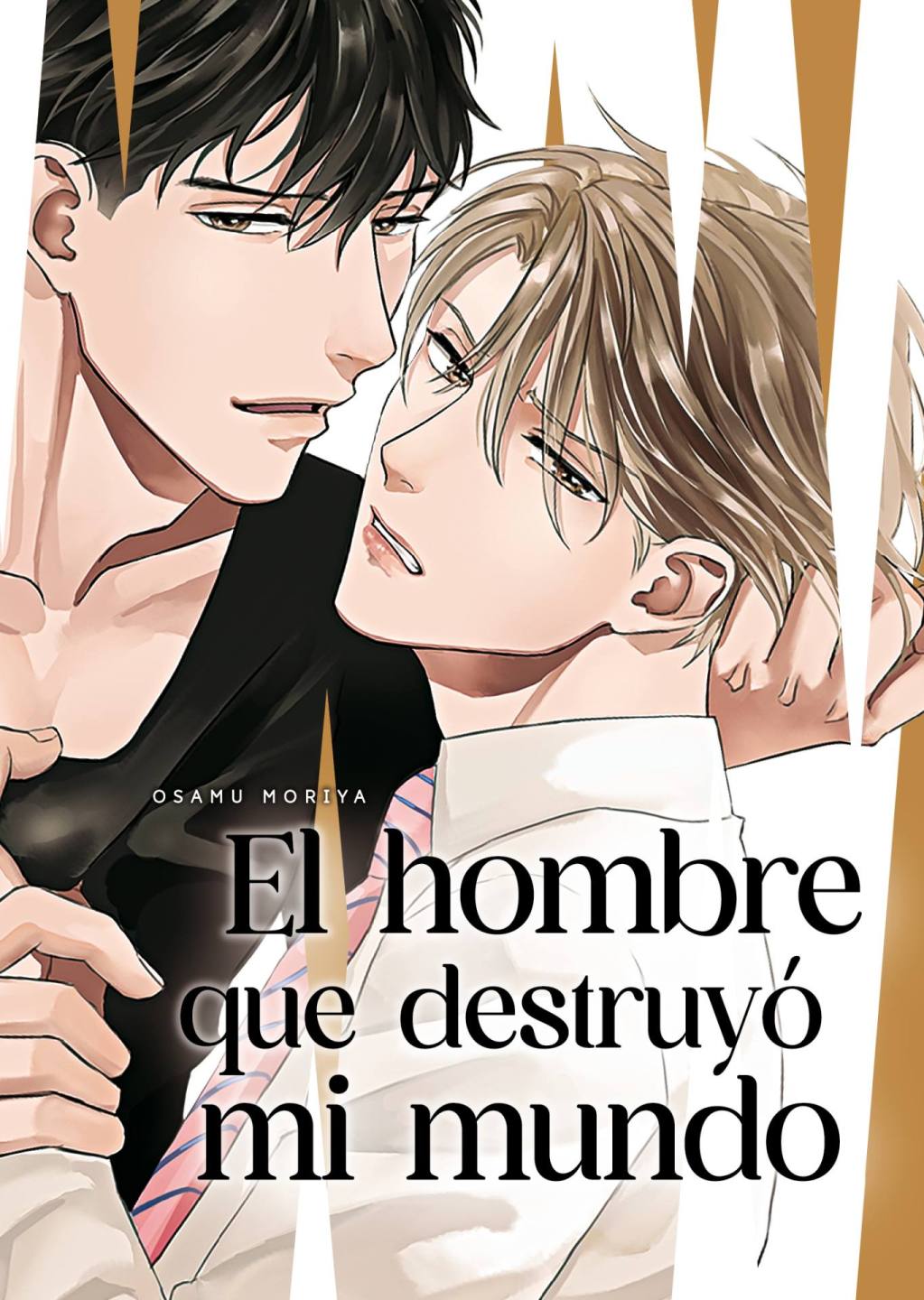 El hombre que destruyó mi mundo