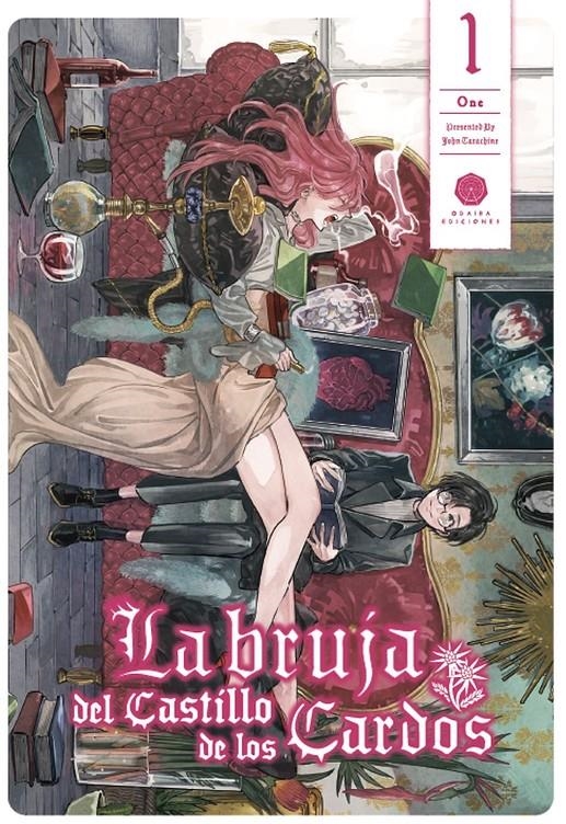 La bruja del castillo de los cardos