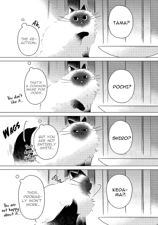Tenohira Neko (Título por determinar)