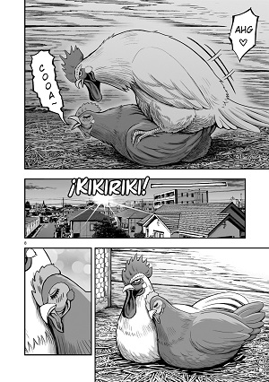 Gallo de pelea
