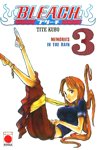 Bleach nº3