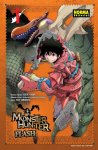 Monster Hunter Flash nº1