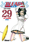 Bleach nº29