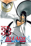 Bleach nº33