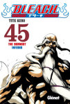 Bleach nº45