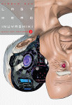 Last Hero Inuyashiki nº3