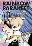 Rainbow Parakeet nº3