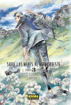 Sigue las nubes 
al nornoroeste nº3