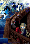 Shadow House nº5