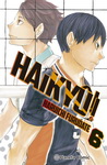 Haikyû!! nº6
