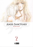 Angel Sanctuary nº2