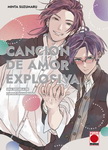 Canción de amor explosiva