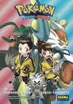 Pokémon 
Espada・Escudo nº6