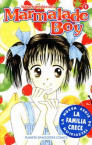 Marmalade Boy nº1