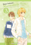 Marmalade Boy nº3