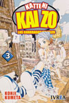 Katteni Kaizo nº3